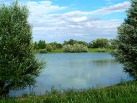 Lake photos at Beaurepaire 