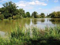 Lake photos at Oakview 