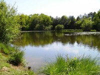 Lake photos at Oakwood 
