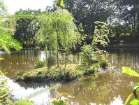 Lake photos at Hideaway 