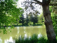 Lake photos at Genets 
