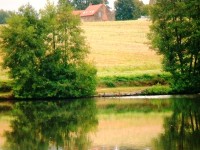Lake photos at Alder 