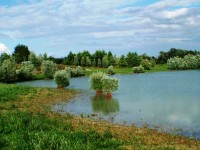 Lake photos at Beaurepaire 
