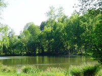 Lake photos at Genets 