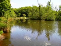 Lake photos at Oakwood 