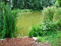 Lake photos at Bletiere 