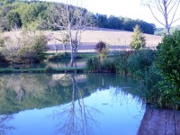 Lake photos at Mas Bas Main Lake 