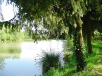Lake photos at Genets 