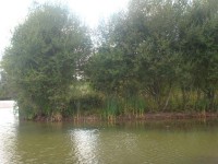 Lake photos at Lillypool 