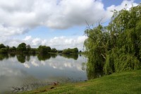 Lake photos at Vincons 