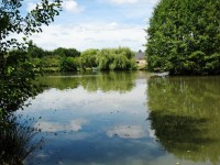 Lake photos at Toms 