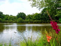 Lake photos at Glehias 