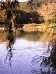 Lake photos at Mas Bas Main Lake 