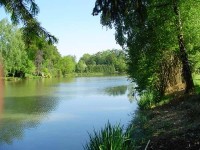 Lake photos at Genets 