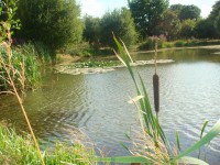 Lake photos at Lillypool 