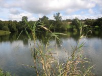Lake photos at Lac du Val 
