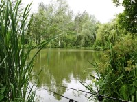 Lake photos at Bletiere 