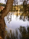Lake photos at Mas Bas Main Lake 