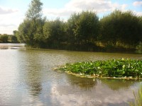 Lake photos at Lillypool 