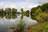 Lake photos at Vincons 