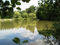 Lake photos at Toms 