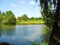 Lake photos at Genets 