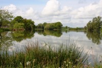Lake photos at Vincons 