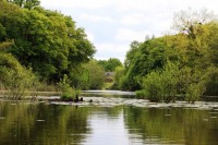 Lake photos at Oakwood 