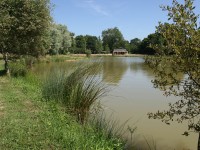 Lake photos at Oakview 