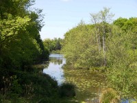 Lake photos at Oakwood 