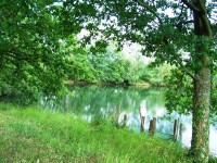Lake photos at Old Oaks 