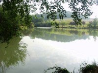 Lake photos at Mas Bas Main Lake 