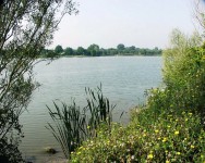 Lake photos at Margot 