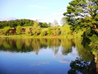 Lake photos at Mas Bas Main Lake 