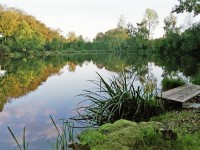Lake photos at Genets 