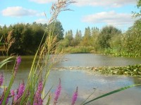 Lake photos at Lillypool 
