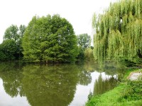 Lake photos at Toms 