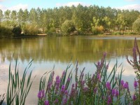 Lake photos at Lillypool 
