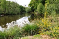Lake photos at Oakwood 
