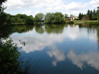 Lake photos at Toms 