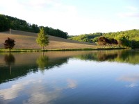 Lake photos at Mas Bas Main Lake 