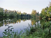 Lake photos at Genets 
