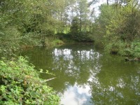 Lake photos at Lac du Val 