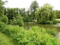 Lake photos at Bletiere 