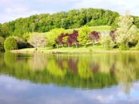 Lake photos at Mas Bas Main Lake 