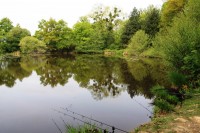 Lake photos at Oakwood 
