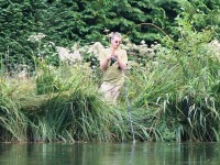 Lake photos at Genets 