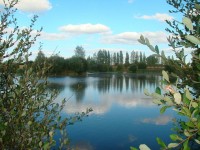 Lake photos at Lillypool 
