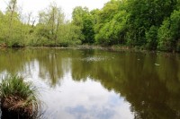 Lake photos at Oakwood 