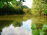 Lake photos at Toms 